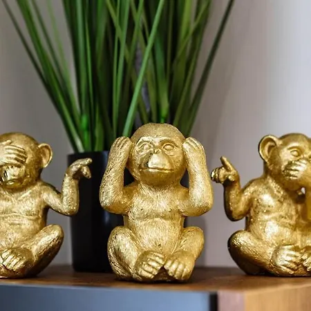 Luximo * Veliko Tŭrnovo