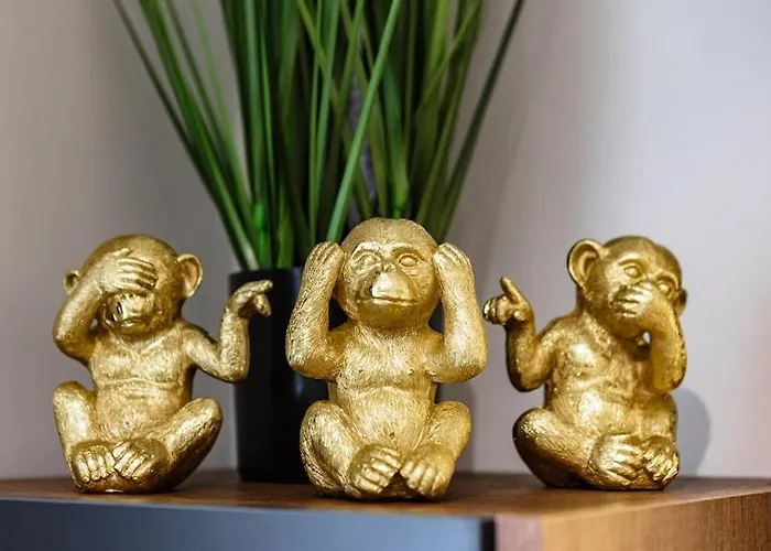 Luximo * Veliko Tarnovo